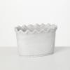 imageSullivans Scalloped Edge Dish Garden Pot Indoor Planter Pot Kitchen Living Room and Office Home Dcor