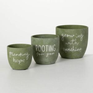 imageSullivans Planter Plant Pots with Drainage Green Pot Set of 3 with Sayings Planting Growing Rooting 6quot 5quot 425quot Rustic Farmouse Inspirational Planters for Outdoor Garden Dcor Patio Outside