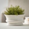 imageSullivans Oval Distressed Ceramic Vase Home Decor Accents Modern Farmhouse Living Room Dcor and Accessories Ideal Shelf Dcor Table and Mantle Decorations CM2342