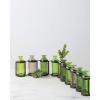 imageSullivans Tinted Glass Bottle Vase Set of 10 Connected with Metal Bottle Holder fits Ten Bottles G8252