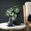 imageSullivans Ceramic Black Matte Vase Modern Home Decor 825 inches Kitchen Living Room Office Decor Versatile Indoor DecorationBlack