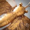 imageSullivans Copper Metal Dragonfly Garden Stake Decorative Outdoor Lawn and Garden Accessories for Front and Backyard Spring Decor and PatioCopper Butterfly