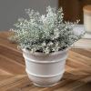 imageSullivans 12quot White Bubble Cedar Orb Christmas Decor Artificial Greenery Perfect for Fireplace Mantels Dining and Living Rooms