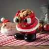 imageSullivans 16quot Shiny Ball Frosted Pine Pick Greenery Flower Plant Dcor for Bouquet Vase Filler Christmas Home Decoration for Mantels Doorways and Windows