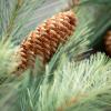 imageSullivans 19quot Wispy Bleached Pine Swag Christmas Decor Artificial Greenery Perfect for Fireplace Mantels Dining and Living Rooms