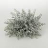 imageSullivans 12quot White Bubble Cedar Orb Christmas Decor Artificial Greenery Perfect for Fireplace Mantels Dining and Living Rooms
