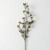 imageSullivans 28quot Green Berry Twig Spray Greenery Flower Plant Dcor for Bouquet Vase Filler Christmas Home Decoration for Mantels Doorways and Windows