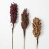 imageSullivans Broom Corn Rustic Spray Set 3 Artificial Fake Flower Lifelike Bouquet Centerpiece for Home Office Weddings and Gifts Decor38