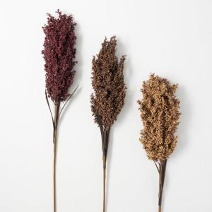 imageSullivans Broom Corn Rustic Spray Set 3 Artificial Fake Flower Lifelike Bouquet Centerpiece for Home Office Weddings and Gifts Decor38