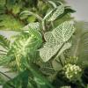 imageSullivans 6 Ft Mixed Foliage Spring Garland for Indoor 72quot Mixed Leaf Faux LifeLike Green Garland for Mantle Decor Living Room Home Fireplace ampamp Office Fireplace Decorations