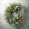 imageSullivans Wreaths for Front Door Eucalyptus Wreath 26quot Mixed Pod Leaf Artificial Green Mixed Round Spring Wreath Indoor Outdoor Decorations for Fireplace Cabinet Mantle Home Dcor