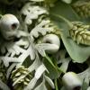 imageSullivans Wreaths for Front Door Eucalyptus Wreath 26quot Mixed Pod Leaf Artificial Green Mixed Round Spring Wreath Indoor Outdoor Decorations for Fireplace Cabinet Mantle Home Dcor