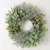 imageSullivans Wreaths for Front Door Eucalyptus Wreath 26quot Mixed Pod Leaf Artificial Green Mixed Round Spring Wreath Indoor Outdoor Decorations for Fireplace Cabinet Mantle Home Dcor