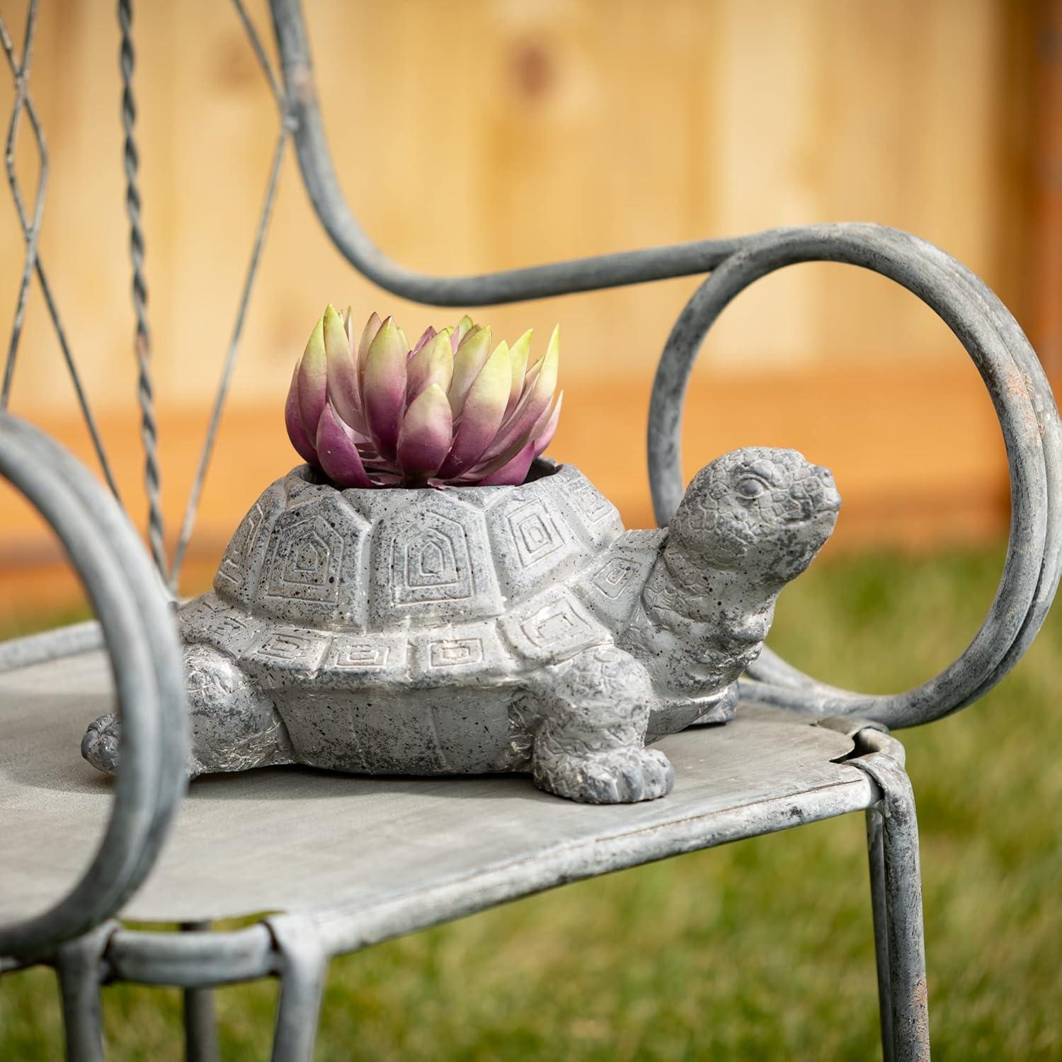 imageSullivans Charcoal Grey Tortoise Planter Animal Garden Pot Statue Outdoor Indoor Yard Decor for Flowers and Succulent for Home Office Desktop Decoration6H