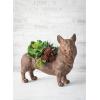 imageCute Corgi Planter