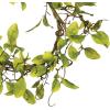 imageSullivans 19 Inch Green Leaf ampamp Twig Accent Ring Spring and Summer Artificial Wreath Everyday Candle Rings Mini Door Wreaths Indoor ampamp Outdoor Wreaths Door Entryway Porch Dcor