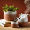 imageSullivans 25quot 4quot ampamp 45quot Desert Tone Glazed Planters  Set of 3 Multicolor