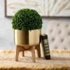 imageSullivans Brass Planters On Stands  Set of 3 Indoor Planter Pot Kitchen Living Room and Office Home Dcor