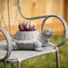 imageSullivans Charcoal Grey Tortoise Planter Animal Garden Pot Statue Outdoor Indoor Yard Decor for Flowers and Succulent for Home Office Desktop Decoration6H