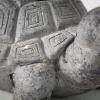 imageSullivans Charcoal Grey Tortoise Planter Animal Garden Pot Statue Outdoor Indoor Yard Decor for Flowers and Succulent for Home Office Desktop Decoration6H
