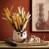 imageSullivans Kitschy Brown Owl Planter  Set of 2 Indoor Planter Pot Kitchen Living Room and Office Home Dcor