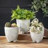 imageSullivans Medium Floral LINE Art POTS
