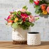 imageSullivans Modern Leaf Cream Pots  Set of 3 Indoor Planter Pot Kitchen Living Room and Office Home Dcor