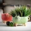 imageSullivans PurrFact Cat Planter Pair Faux Flower Pots Decorative Home Accessories Kitchen ampamp Office Dcor Tabletop and Entryway Dcor