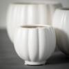 imageSullivans White Ribbed Container  Set of 3 Indoor Planter Pot Kitchen Living Room and Office Home Dcor