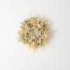 imageSullivans 1425 Inch Boxwood Tea Leaf Ring Spring and Summer Artificial Wreath Everyday Candle Rings Mini Door Wreaths Indoor ampamp Outdoor Wreaths Door Entryway Porch Dcor