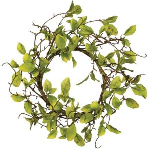 imageSullivans 19 Inch Green Leaf ampamp Twig Accent Ring Spring and Summer Artificial Wreath Everyday Candle Rings Mini Door Wreaths Indoor ampamp Outdoor Wreaths Door Entryway Porch Dcor