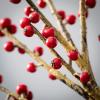 imageSullivans 17quot Cheerful Red Berry Spray Greenery Flower Plant Dcor for Bouquet Vase Filler Christmas Home Decoration for Mantels Doorways and Windows