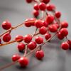 imageSullivans 29quot Weeping Red Berry Spray Greenery Flower Plant Dcor for Bouquet Vase Filler Christmas Home Decoration for Mantels Doorways and Windows