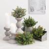 imageSullivans Cedar and Pinecone Half Orb Artificial Fake Flower Lifelike Bouquet Centerpiece for Home Office Weddings and Gifts Decor