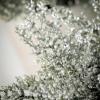 imageSullivans Frosted Snow Cedar Potted Winter Bouquet Set of 2 Artificial Fake Flower Lifelike Bouquet Centerpiece for Home Office Weddings and Gifts Decor