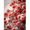 imageSullivans Red Frosted Berry Spray Artificial Fake Flower Lifelike Bouquet Centerpiece for Home Office Weddings and Gifts Decor