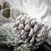 imageSullivans Snow Flocked Pine and Pinecone Spray Artificial Fake Flower Lifelike Bouquet Centerpiece for Home Office Weddings and Gifts Decor