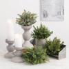 imageSullivans White Spruce 8Inch Half Orb Artificial Fake Flower Lifelike Bouquet Centerpiece for Home Office Weddings and Gifts Decor