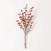 imageSullivans 17quot Cheerful Red Berry Spray Greenery Flower Plant Dcor for Bouquet Vase Filler Christmas Home Decoration for Mantels Doorways and Windows