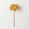 imageSullivans 18quot Metallic Gold Hydrangea Stem Greenery Flower Plant Dcor for Bouquet Vase Filler Christmas Home Decoration for Mantels Doorways and Windows