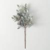 imageSullivans 24quot Frosted Pine Pinecone Pick Greenery Flower Plant Dcor for Bouquet Vase Filler Christmas Home Decoration for Mantels Doorways and Windows
