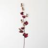imageSullivans 44quot Gold Berry Burgundy Foliage Greenery Flower Plant Dcor for Bouquet Vase Filler Christmas Home Decoration for Mantels Doorways and Windows