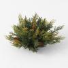 imageSullivans Atlantic White Cedar orb Artificial Fake Flower Lifelike Bouquet Centerpiece for Home Office Weddings and Gifts Decor