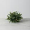 imageSullivans Cedar and Pinecone Half Orb Artificial Fake Flower Lifelike Bouquet Centerpiece for Home Office Weddings and Gifts Decor