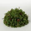 imageSullivans Soft Touch Pine and Pinecone Orb Artificial Fake Flower Lifelike Bouquet Centerpiece for Home Office Weddings and Gifts Decor