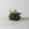 imageSullivans White Spruce 8Inch Half Orb Artificial Fake Flower Lifelike Bouquet Centerpiece for Home Office Weddings and Gifts Decor