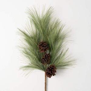 imageSullivans Light Long Pine ampamp Cone Spray