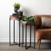 imageSullivans Black Tulip Planter Set of 3 Indoor Planter Pot Kitchen Living Room and Office Home Dcor