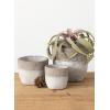 imageSullivans OrganicShaped Pot  Set of 2 Indoor Planter Pot Kitchen Living Room and Office Home Dcor