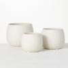 imageSullivans Cream Speckled Round Pot  Set of 3 Indoor Planter Pot Kitchen Living Room and Office Home Dcor